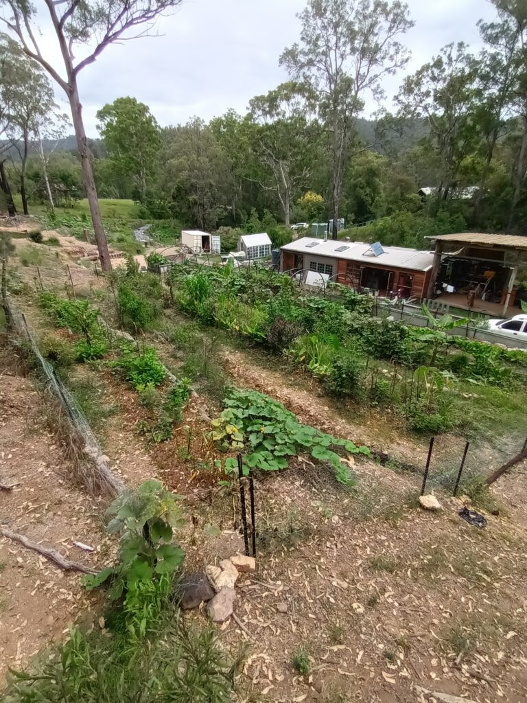 permaculture design