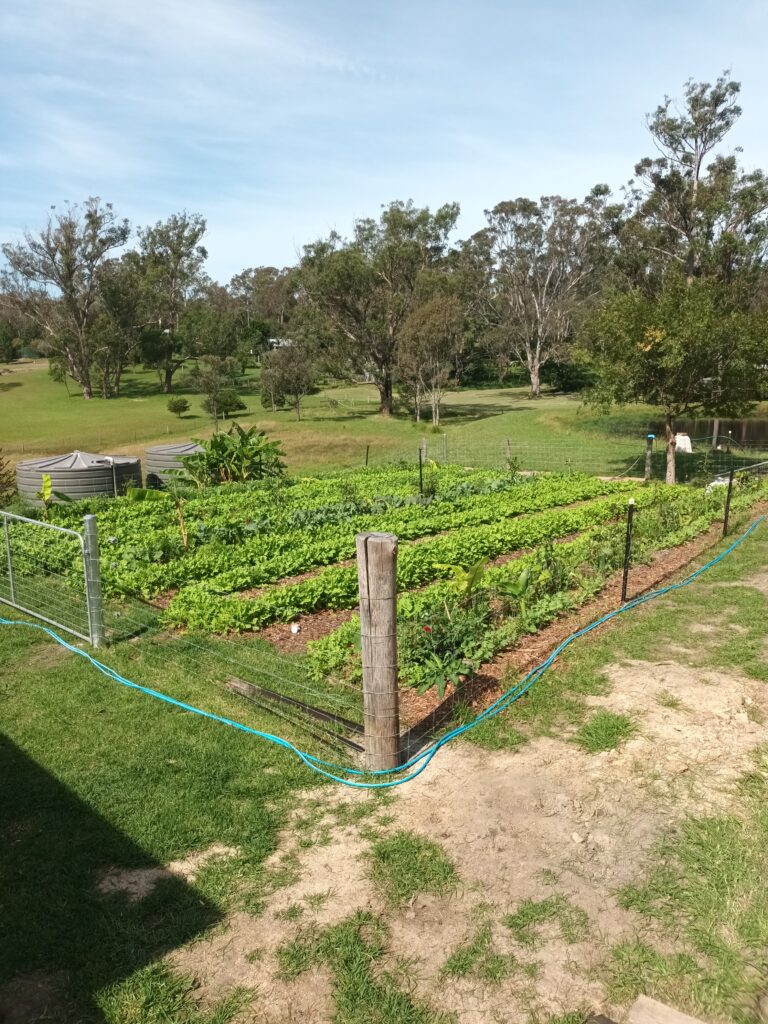 permaculture design