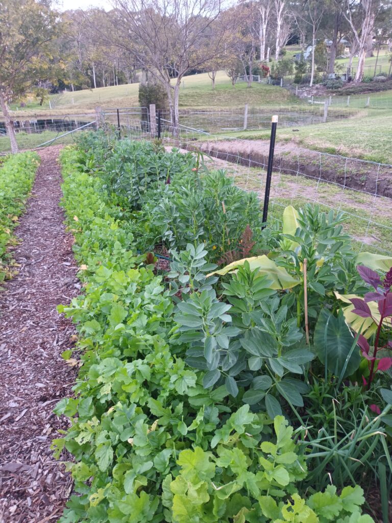 permaculture design