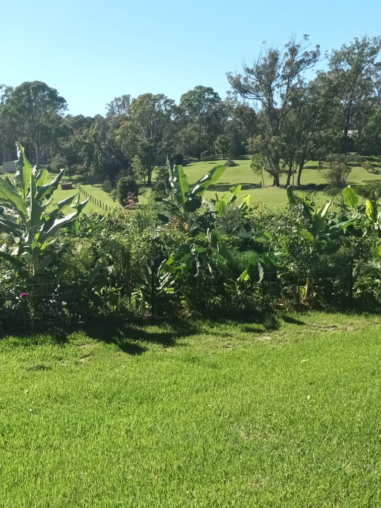 permaculture design