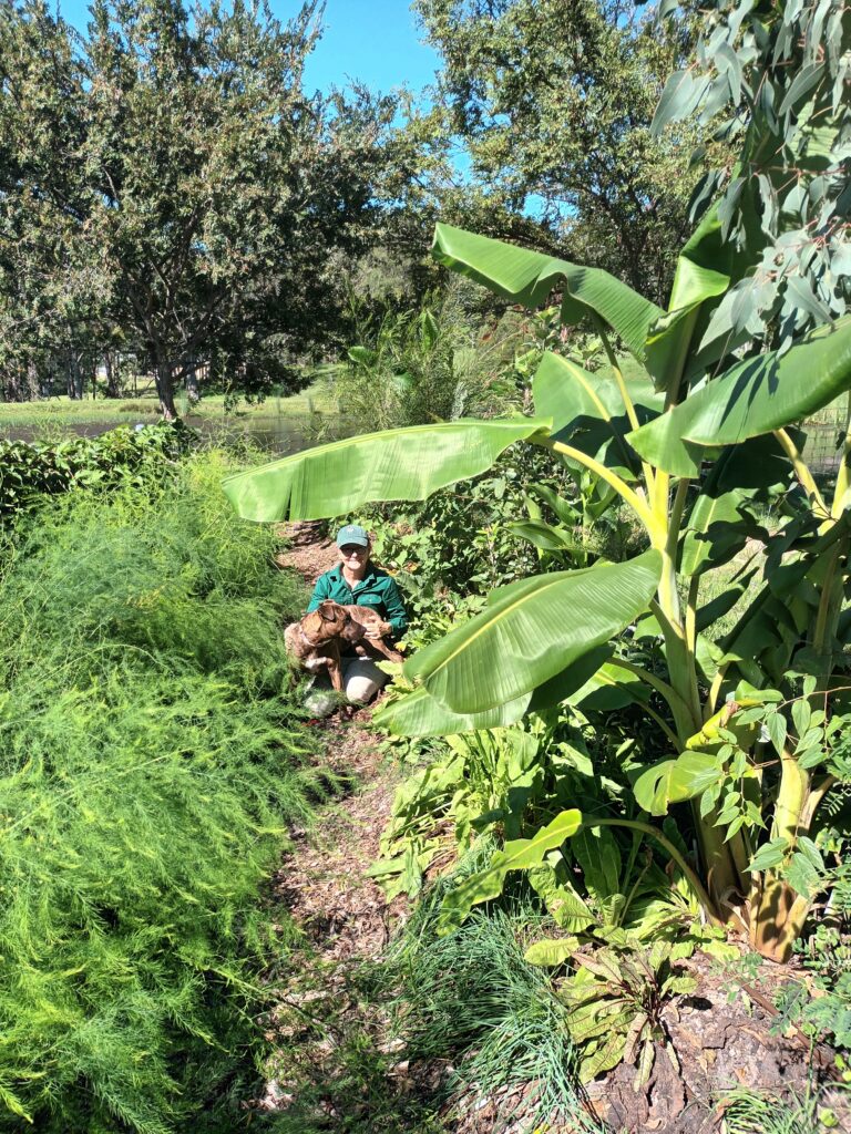 permaculture design