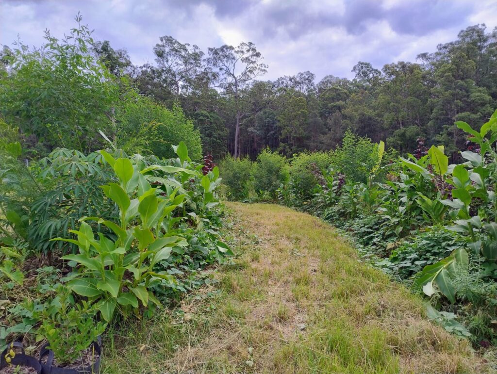 permaculture designs