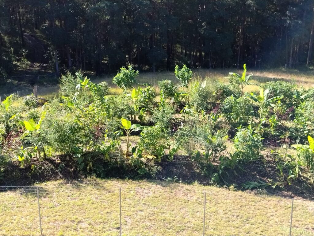 permaculture designs