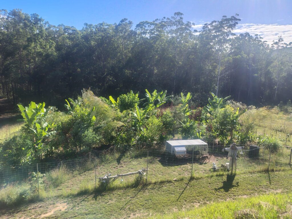 permaculture designs