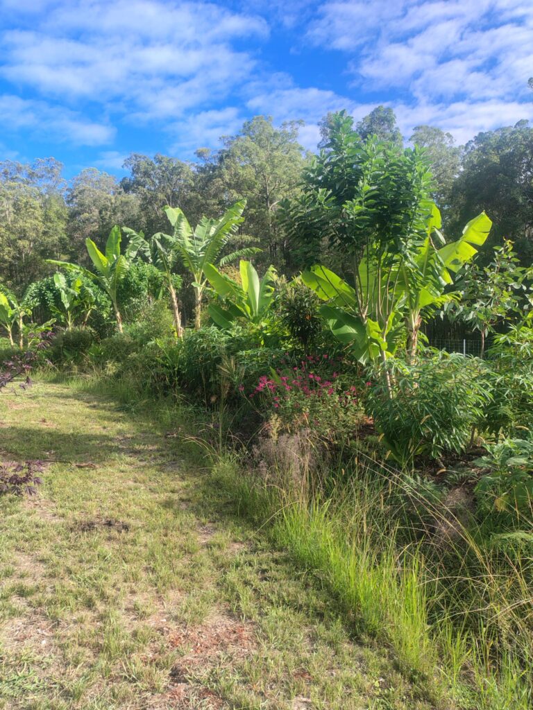 permaculture designs