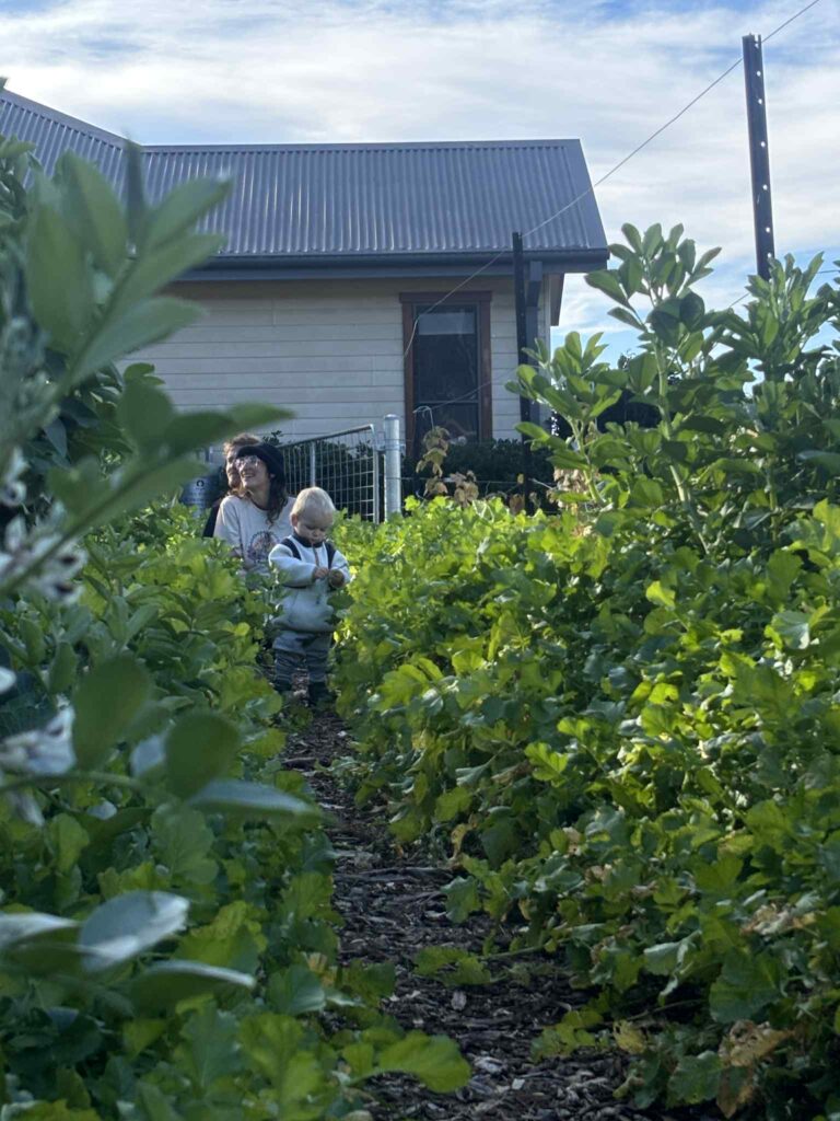 permaculture design