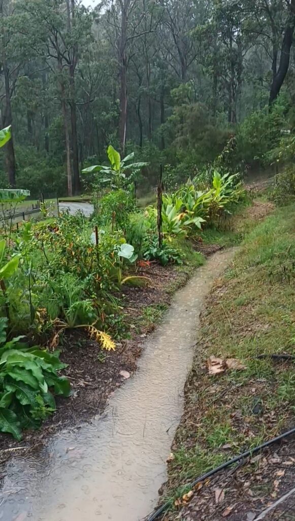 permaculture design