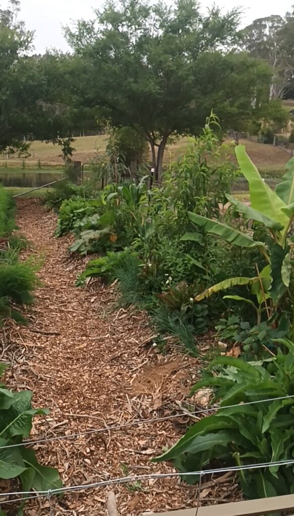 permaculture design