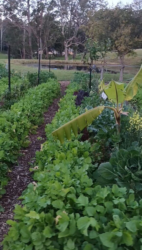permaculture design