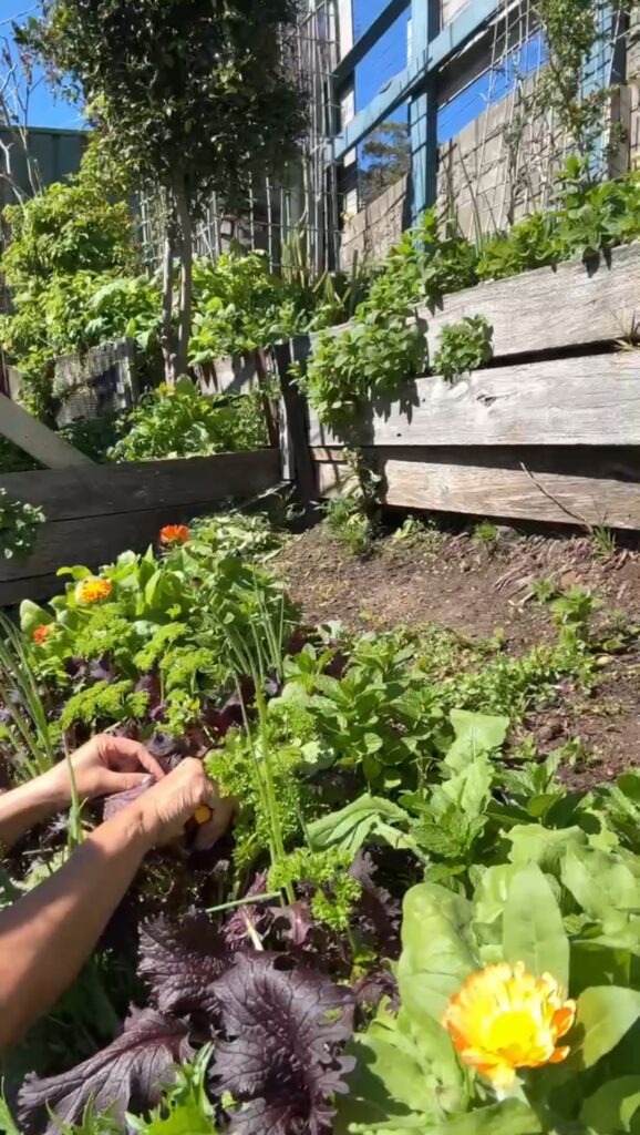permaculture design