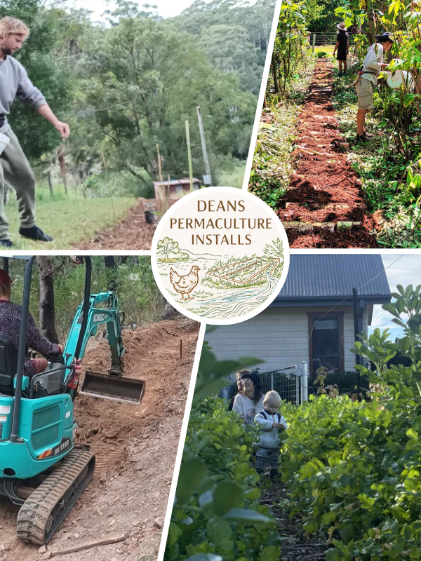 permaculture design